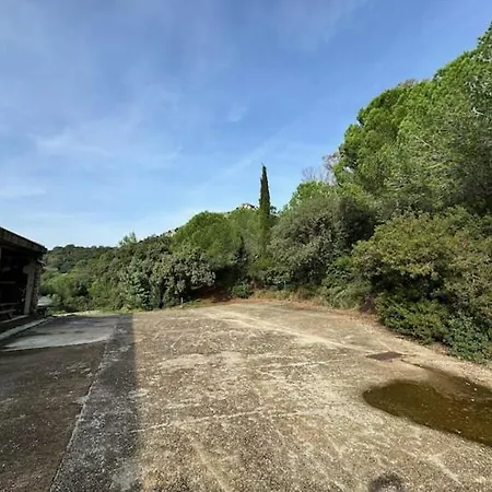 Le Kiwi, Bel Moderne En Pleine Nature * Hyères